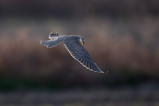  筹码悄然聚集，市场信号渐显；310只个股股东户数下降，集中趋势值得留意。 股票财经 筹码悄然聚集，市场信号渐显；310只个股股东户数下降，集中趋势值得留意。 股票财经