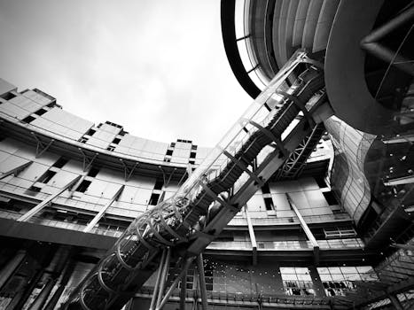 中免集团严正声明发布；严打冒用名义虚假宣传及非法销售；零容忍追究侵权责任。