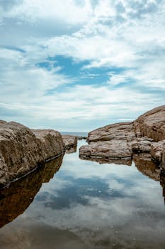  从黄天鹅事件看鸡蛋产业隐忧；色素添加边界模糊，监管与科普并重方能解惑。 企业服务