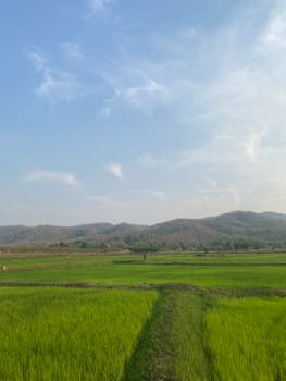  构建统一融资担保体系；广东多部门联合行动；推动金融服务实体经济再上新台阶。 股票财经 构建统一融资担保体系；广东多部门联合行动；推动金融服务实体经济再上新台阶。 股票财经