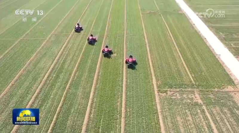  “十五五”新周期：农业高质量发展的战略路径与核心机遇 新闻