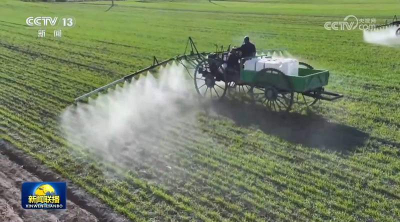  “十五五”新周期：农业高质量发展的战略路径与核心机遇 新闻