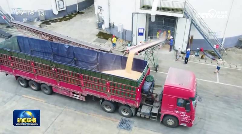  “十五五”新周期：农业高质量发展的战略路径与核心机遇 新闻