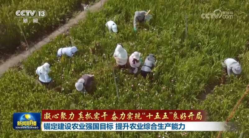  “十五五”新周期：农业高质量发展的战略路径与核心机遇 新闻