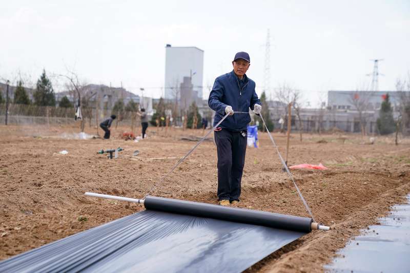 易地扶贫搬迁后续扶持：微菜园模式的技术路径与制度创新