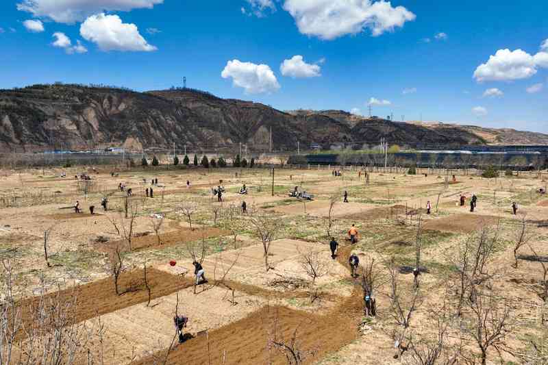  易地扶贫搬迁后续扶持：微菜园模式的技术路径与制度创新 新闻