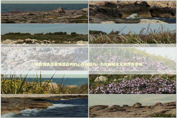 从数据表现看情感咨询的心理驱动力：为何神秘主义依然有市场 情感心理